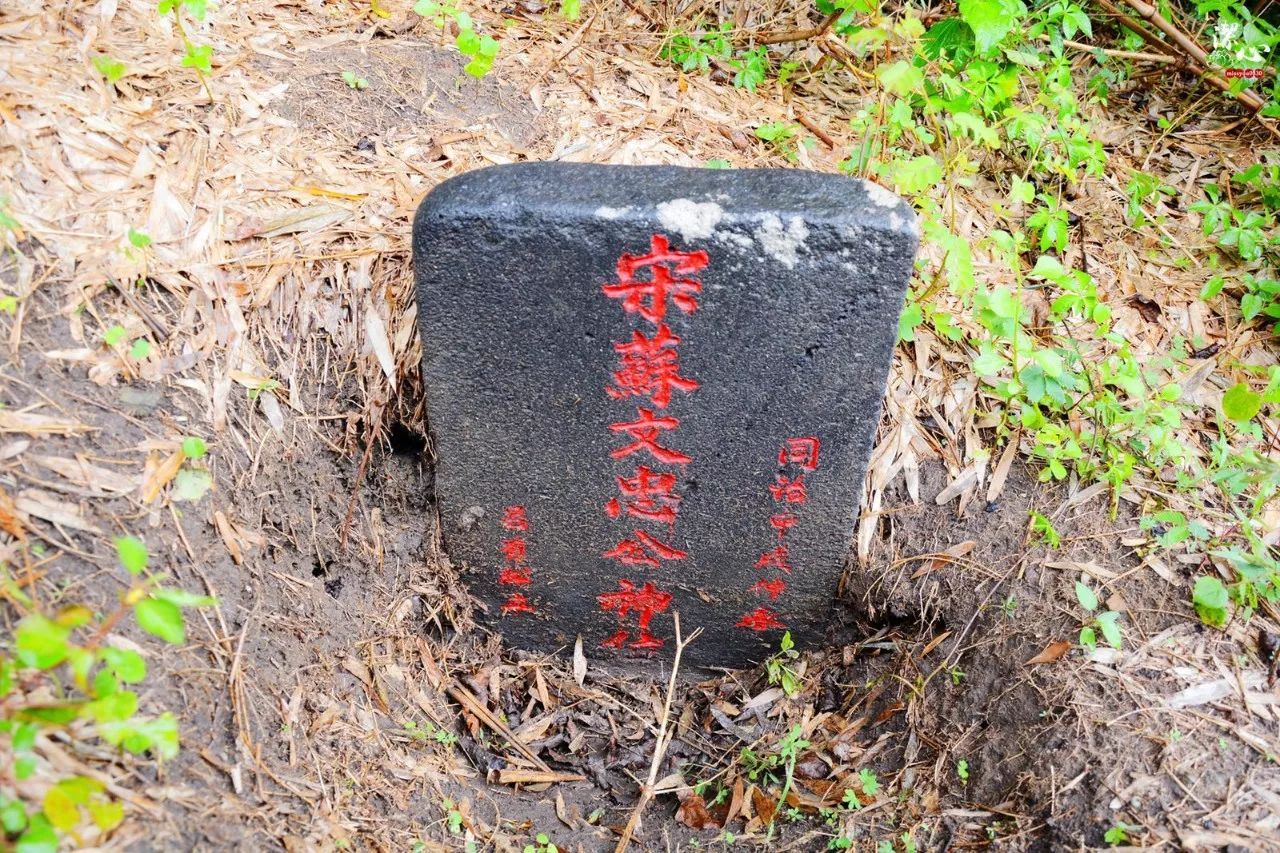 海南儋州人文文化,海南儋州歌曲留在心中