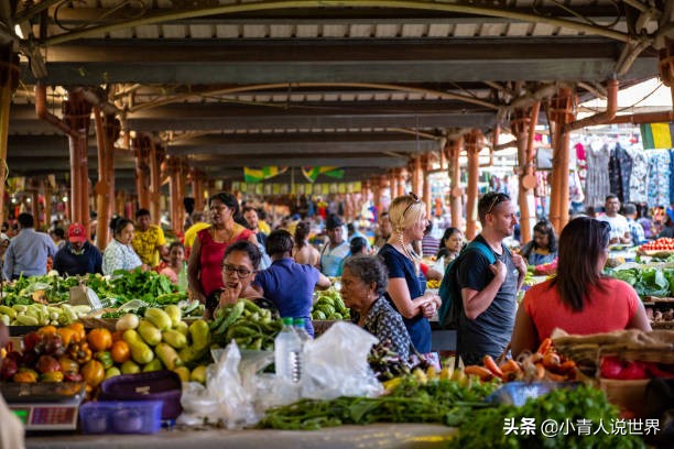 非洲的毛里求斯几乎没有疟疾，毛里求斯小岛是个怎样的国家