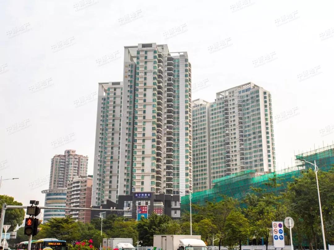 翠园中学东晓分校学区,翠园中学东晓校区学区划分图