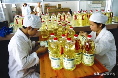 巴马火麻汤哪里最正宗,巴马特色美食火麻仁汤做法