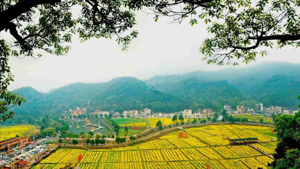 花都为什么叫广州,广州花都区为什么是郊区