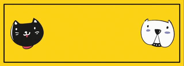 奇葩养宠物,可以合法饲养的奇葩宠物