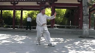 形意拳五行拳的三种练法图解,宋氏形意拳之五行拳教学练法