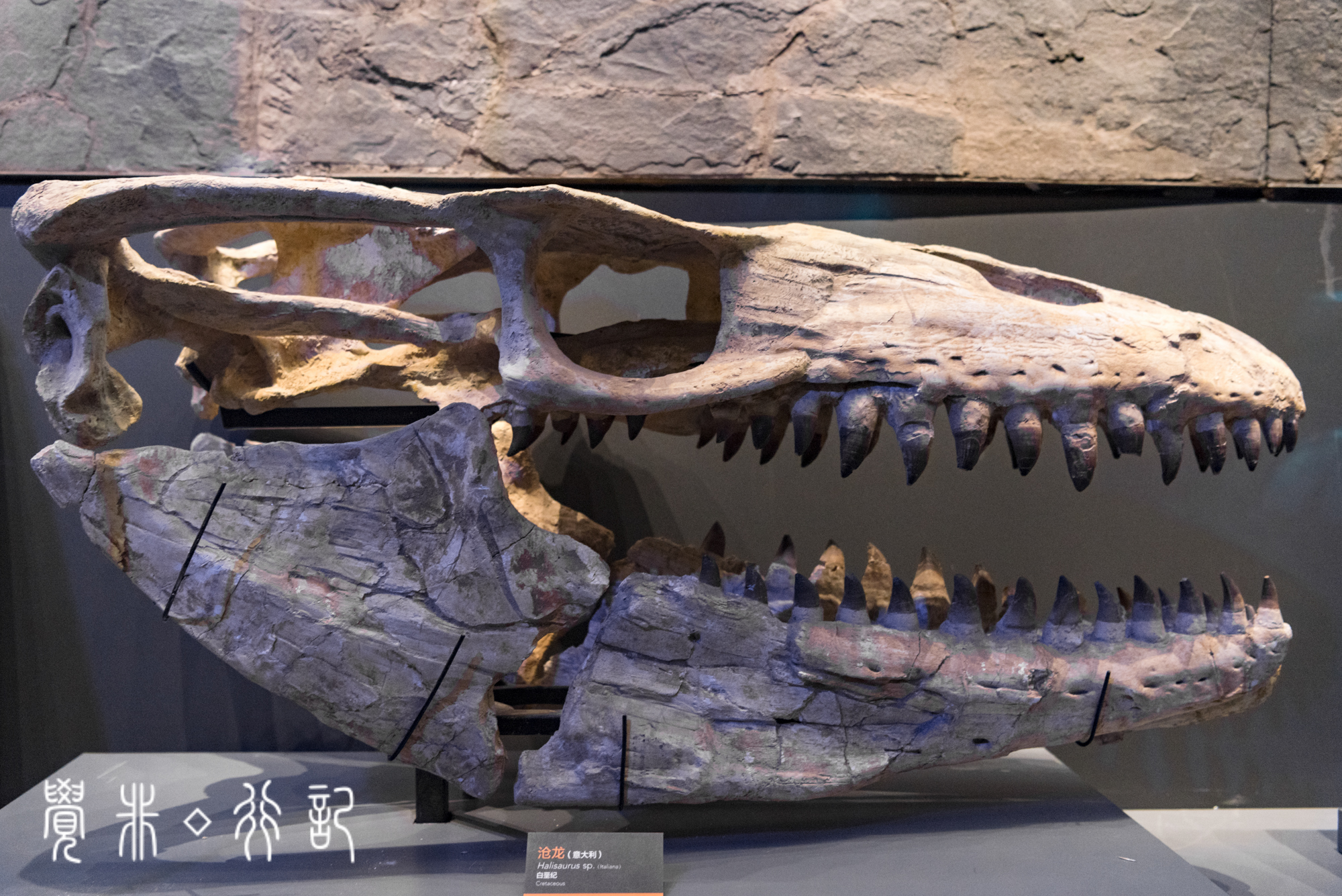 国家海洋博物馆又被称为海上故宫,天津国家海洋博物馆预约电话