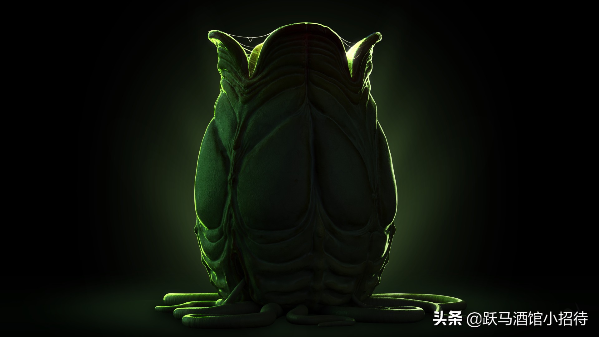 异形抱脸虫交替过程,异形抱脸虫种类