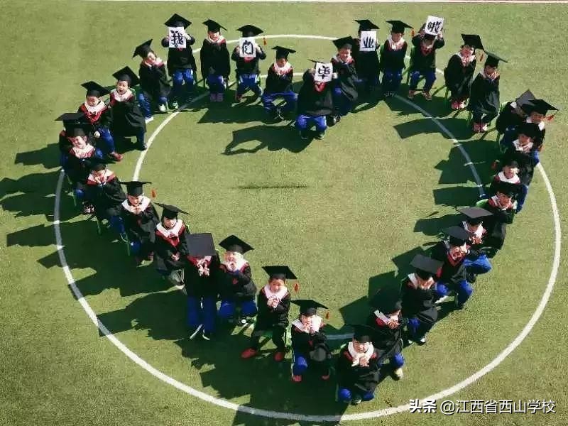 向日葵花开满园，颗颗童心向太阳·江西省西山学校幼儿园