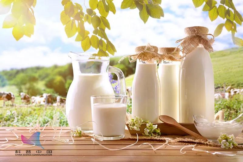 早餐奶脱脂奶舒化奶高钙奶怎么选,高钙脱脂奶哪个牌子最好