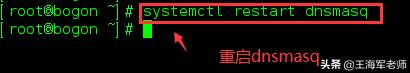 centos8搭建dns服务器详细教程,centos7dns服务器搭建