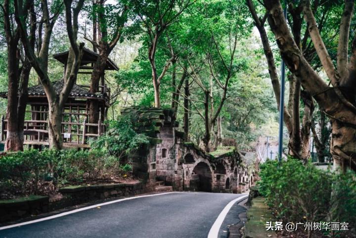 在川美上学是一种什么体验?哈哈哈涨姿势了