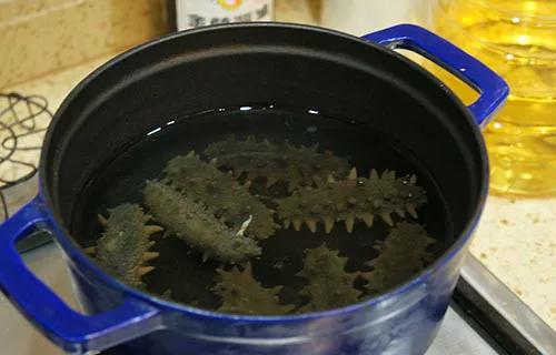 海参是正经的海参不,海参到底是不是正经海参