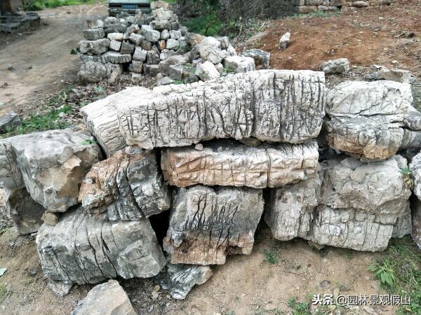 假山一般是什么石头做的,假山石材料有几种