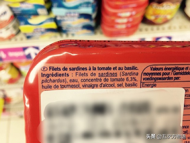 沙丁鱼长什么样图片大全,沙丁鱼是长什么样的呢