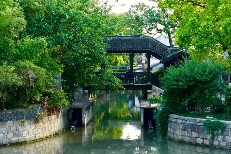 私藏在上海都市深处的古镇，闹中取静，你知道是哪吗？