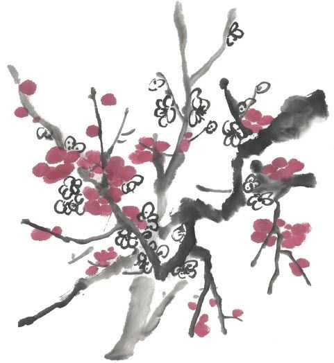 零基础梅花花朵入门画法,零基础学国画梅花入门步骤