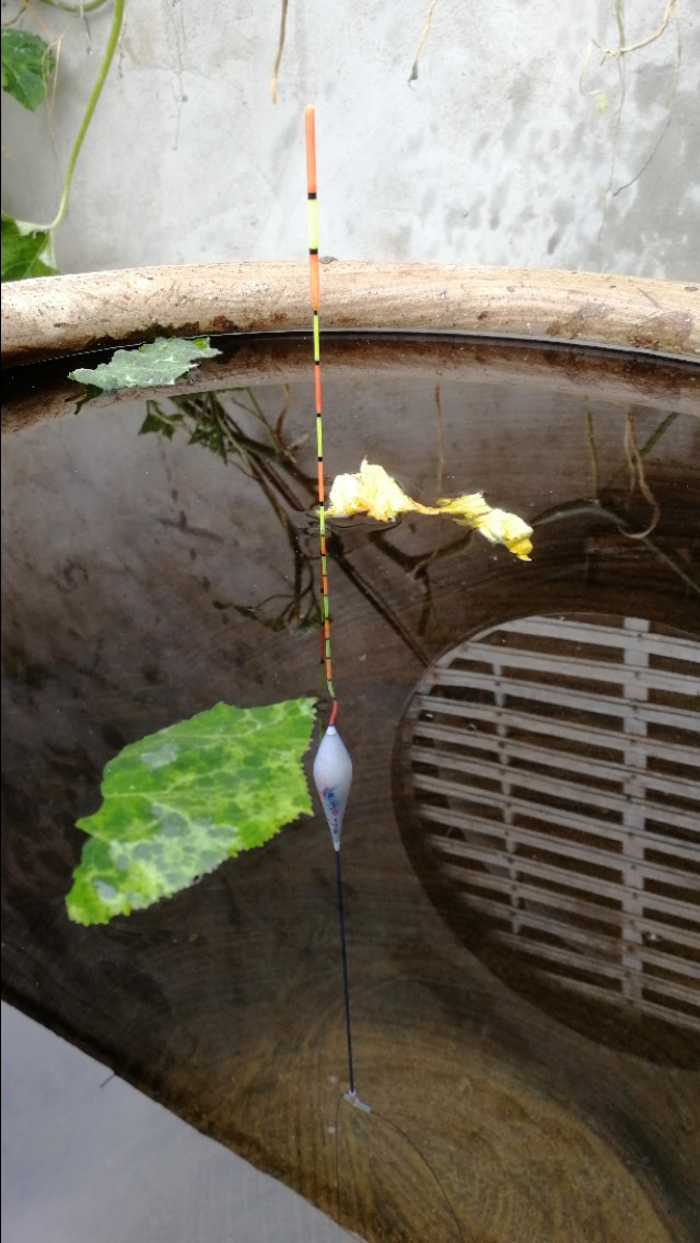 浮漂调好了水深下不去,浮漂不加钩调到五目钓几目