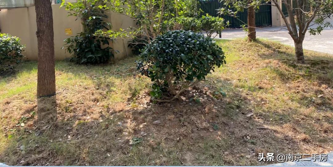 江浦房价涨跌,江浦小区最新成交