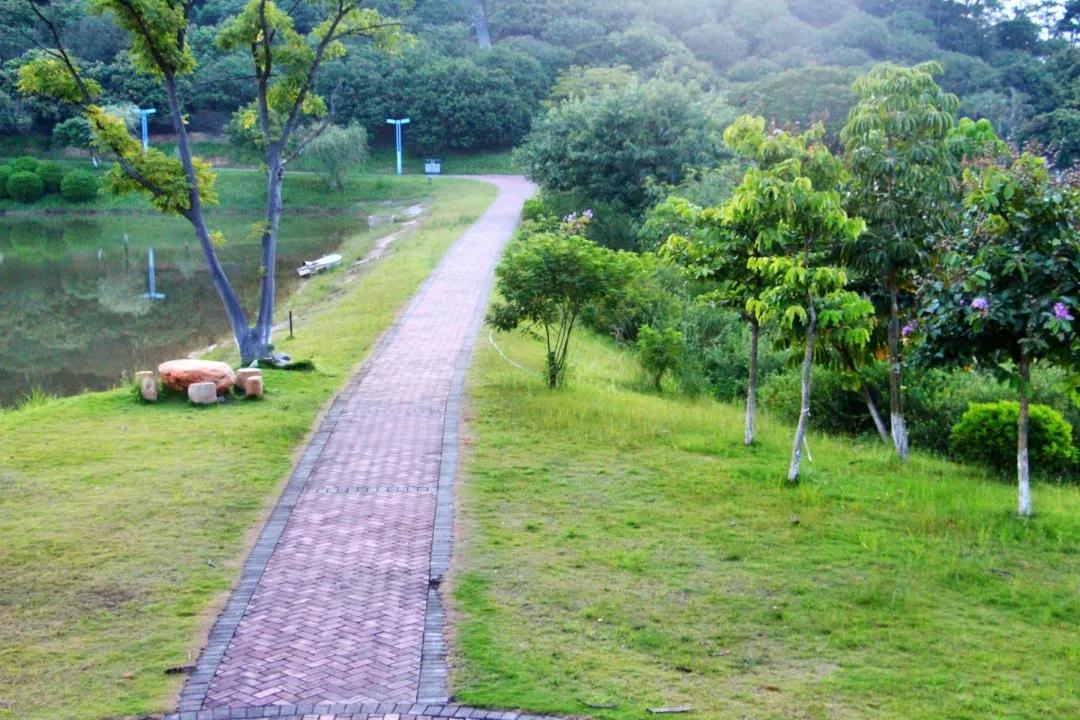 广东青年职业学院宿舍,广东青年职业学院宿舍怎么样