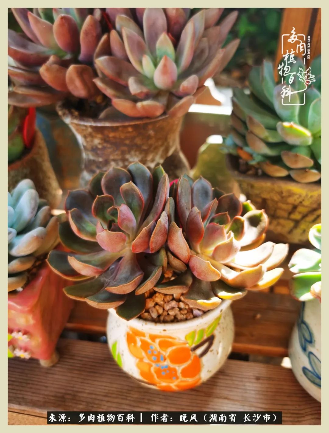 摇身一变成了奶爸,摇身一变成为打工人