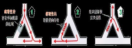 循环系统心律失常病人的护理,循环系统疾病常用药物