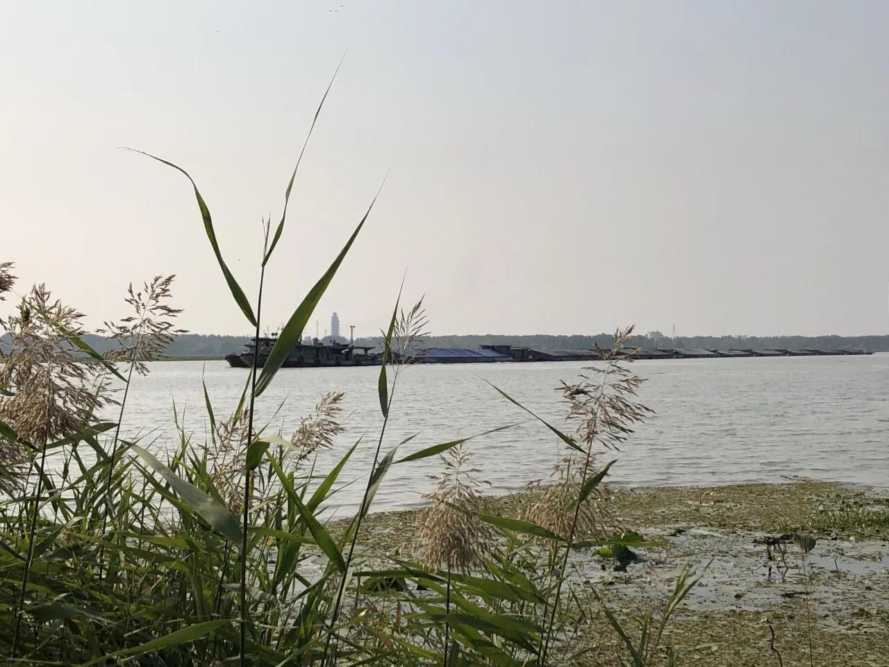 它，坐拥万亩荷花？它，也因《弹起我心爱的土琵琶》而耳熟能详？