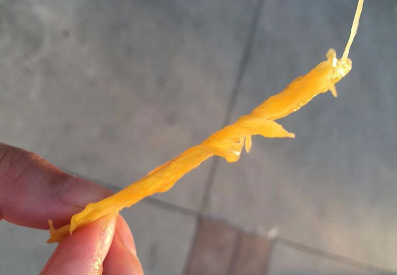 树上贵妃芒怎么样才算成熟,海南树上熟贵妃芒5斤