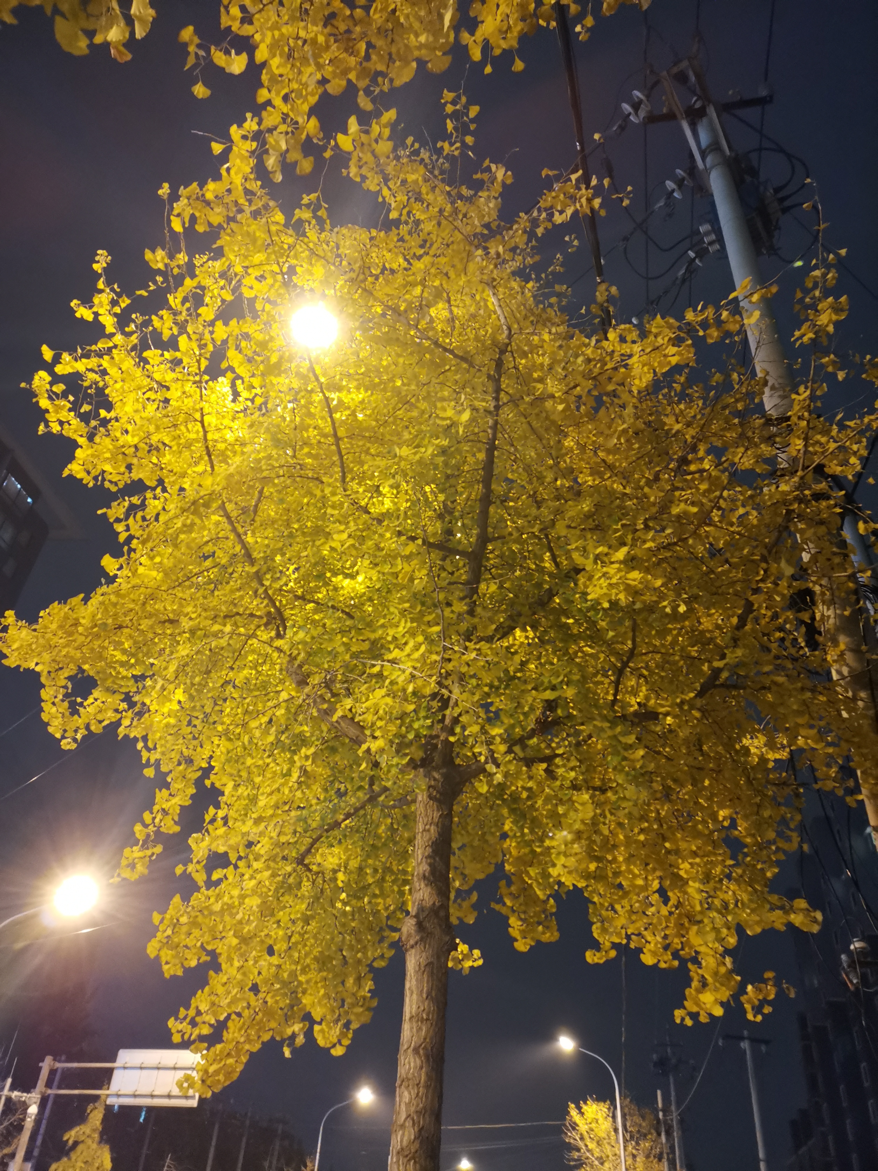 一个博士的创业自白——想创业？那么请在辞职前认真读一下