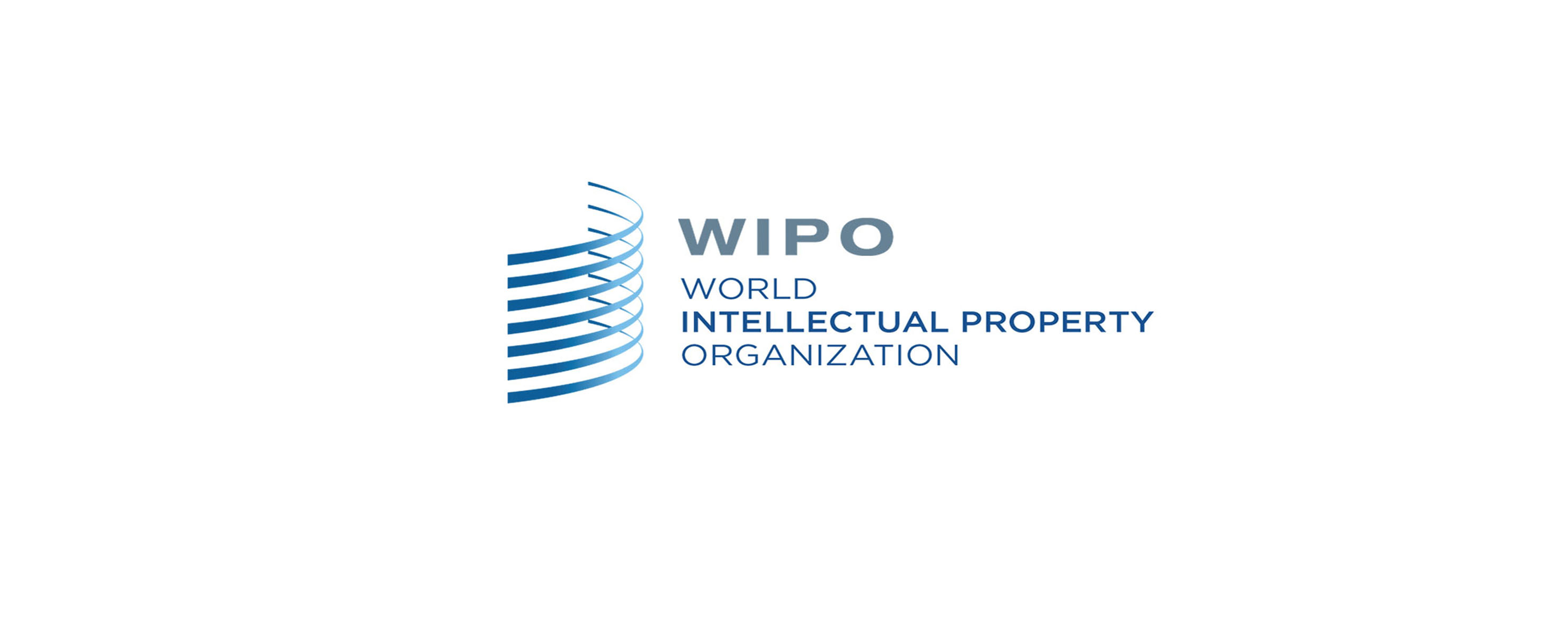 域名的争议解决机构有哪些,域名纠纷案件