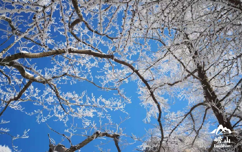 赏雪何须去北国,赏梦幻雾凇耍雪的绝佳去处