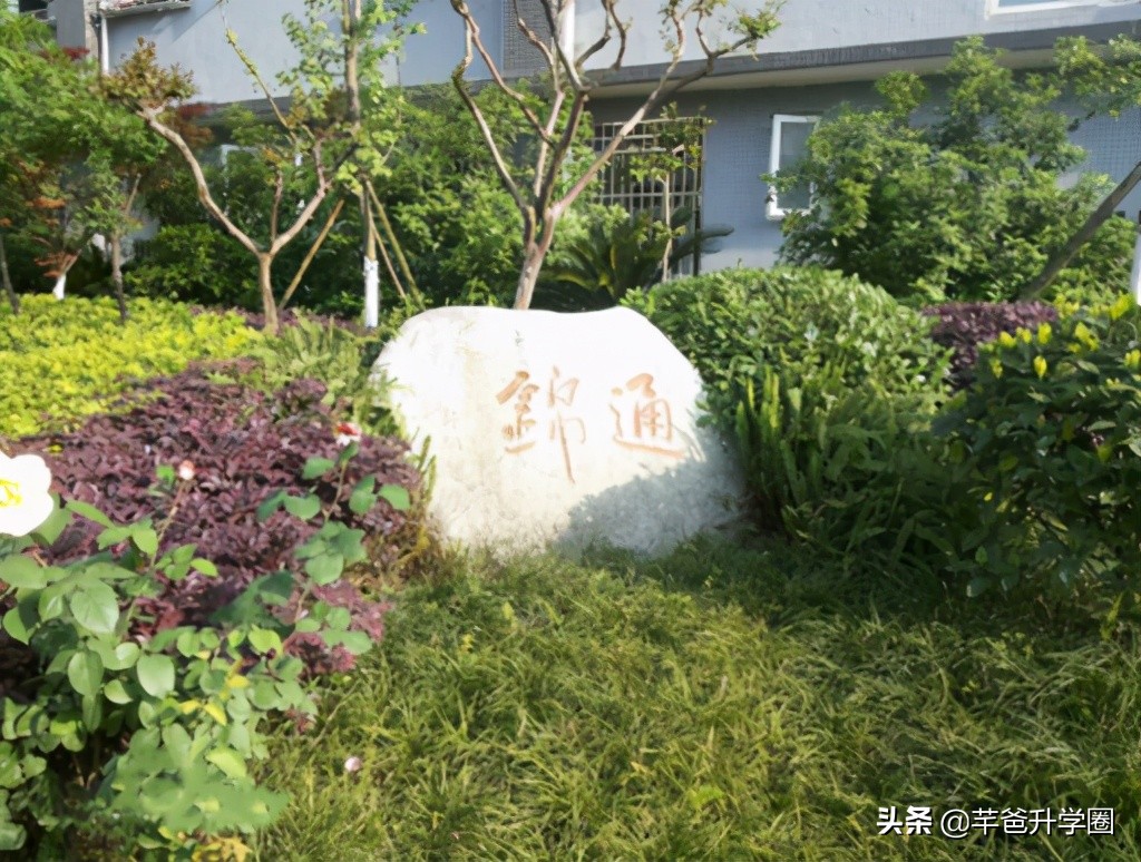 成都金牛区高中学校排名榜,成都市金牛区8所重点高中