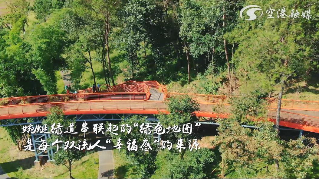 全长240公里的锦江绿道！太震撼了