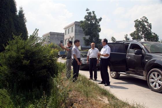 黄山的金凤凰,山沟里的金凤凰湖北