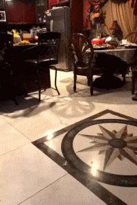 搞笑gif趣图妹子你的内心太强大了,搞笑gif越来越搞不懂现在的女生了