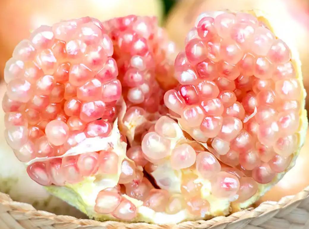 中国石榴品种突尼斯,突尼斯石榴品种