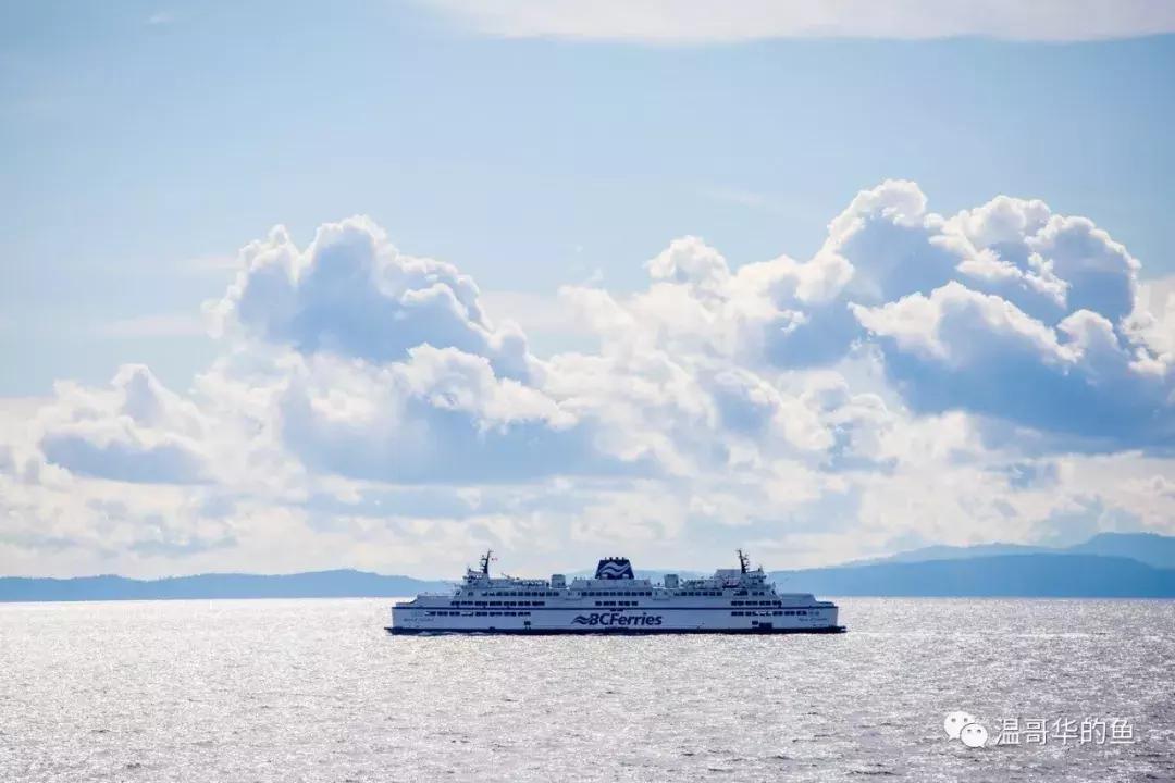 战列舰三国志-“厌战”号（2）浴血日德兰