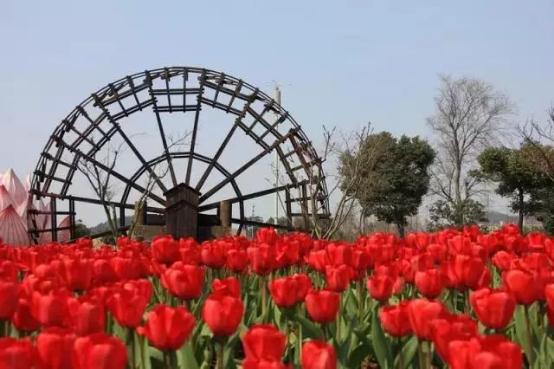春节又有好去处！东钱湖首届中华绝技大庙会暨郁金香花展震撼来袭