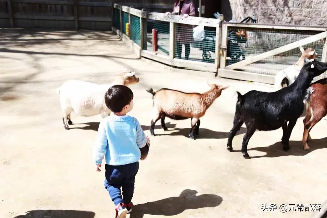 芝加哥周边小城旅游攻略,芝加哥旅游路线地图