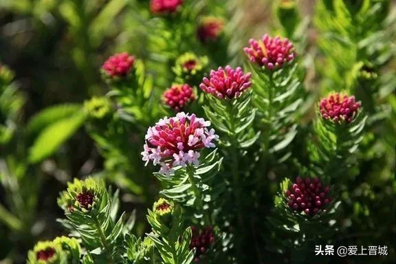 晋城有个啥山,晋城有什么山有名