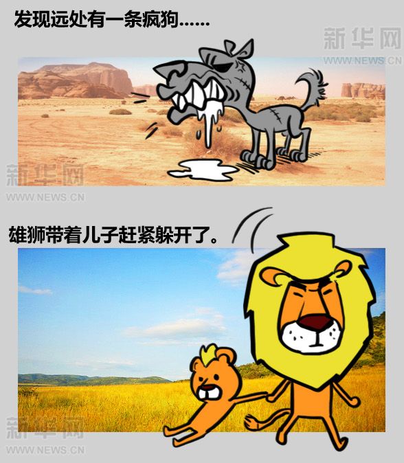 杭州母亲为了保护孩子不被狗狗打,杭州母亲护子遭狗主人暴打