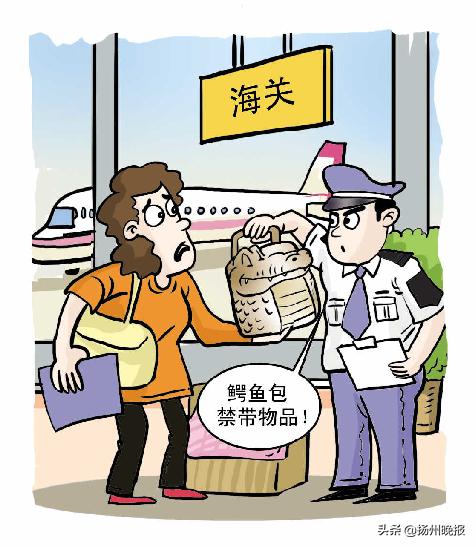 泰国海关带鳄鱼皮包回国,泰国鳄鱼包能带回国吗