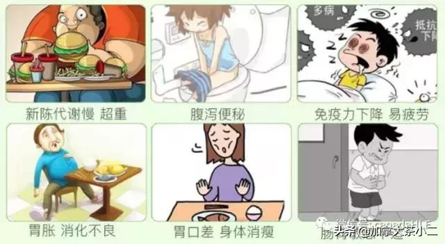 不吹不黑真实评测,美国costco必买的保健品movefree