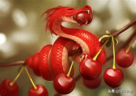 2023智利车厘子最新消息,目前智利车厘子已进入到货高峰期