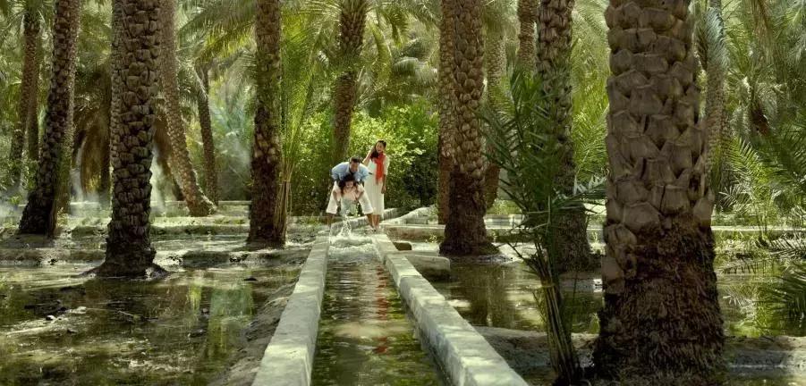 阿布扎比7天迪拜万豪5星酒店,阿布扎比度假攻略