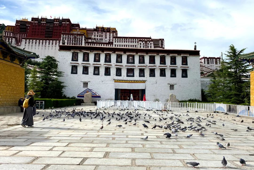 拉萨生活真实感受,日光之城拉萨旅游