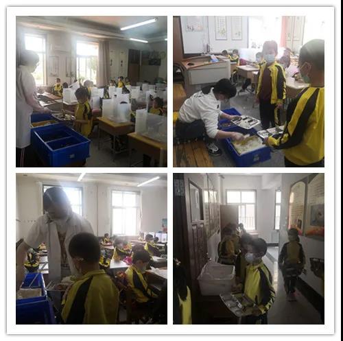 【不变的情怀,不变的爱!你的宝贝我来守护——79小全员复学记】