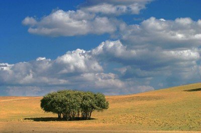 为什么还那么多人学设计,有多少人学设计
