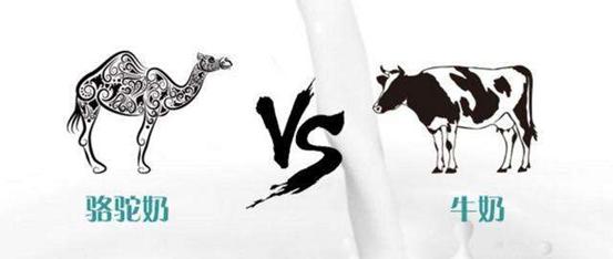 骆驼奶粉合格吗,如何鉴别骆驼奶粉的好坏和真假