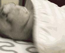 猫咪很臭又不能洗澡的时候怎么办,两个月的猫咪没洗澡太臭了怎么办