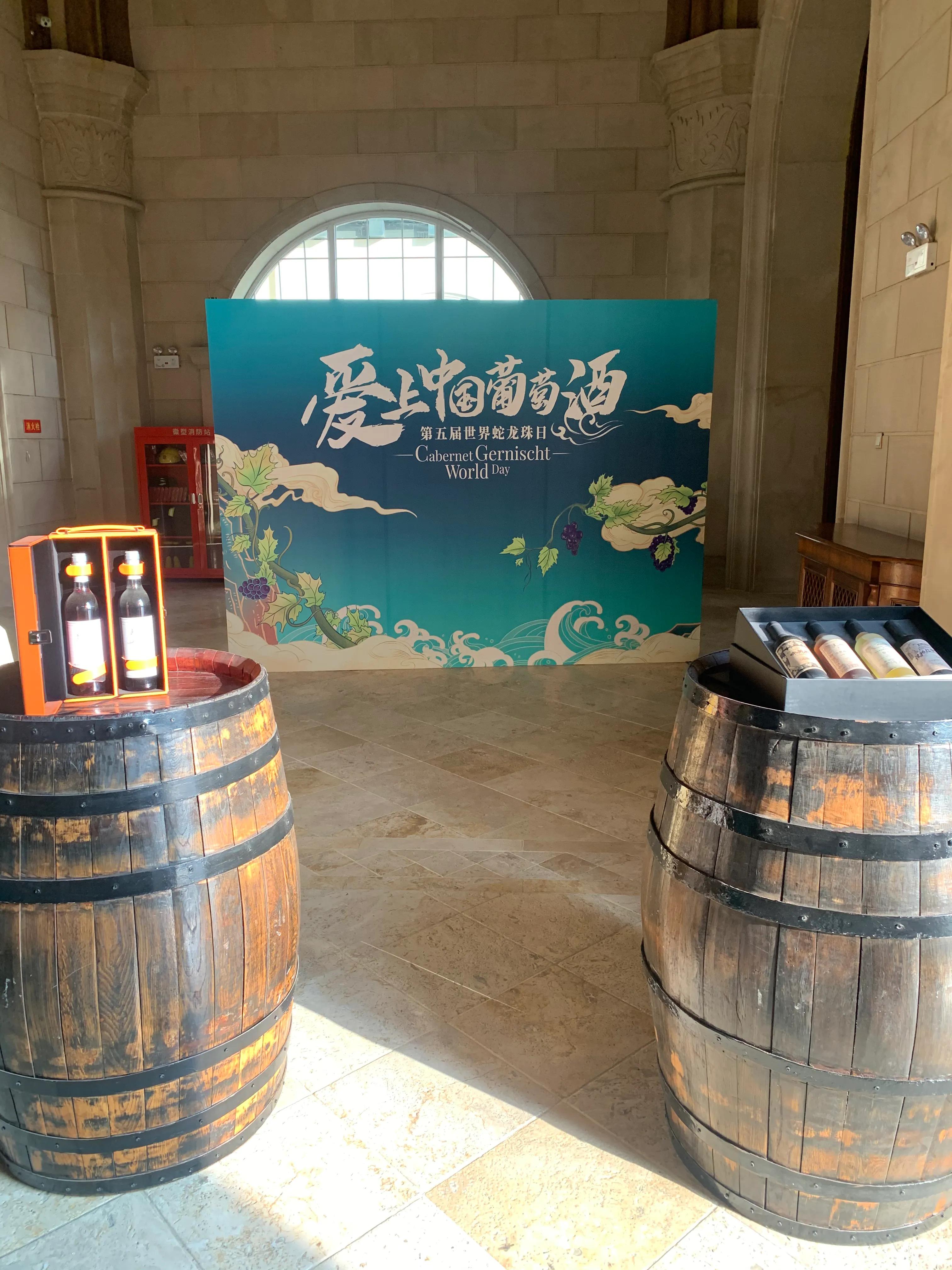 张裕卡斯特酒庄视频,卡斯特酒庄十月景色