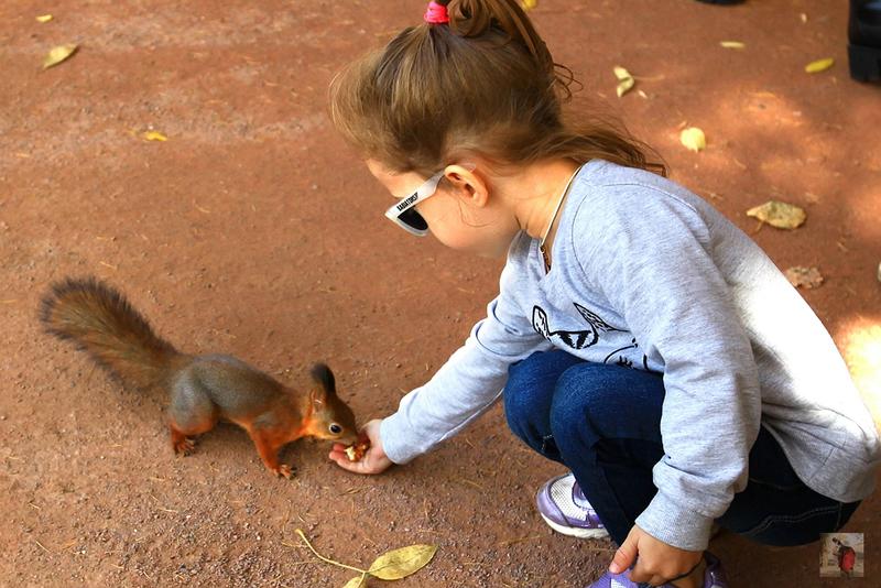 俄罗斯顶级奢华地方,绝美的风景俄罗斯
