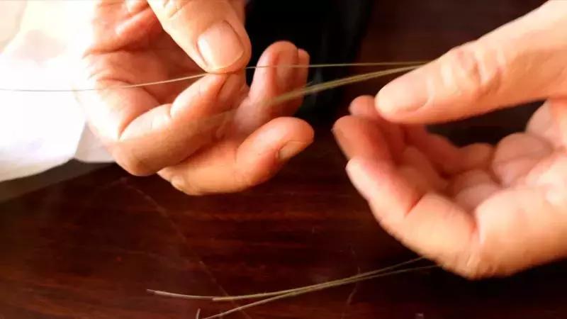 乌拉草吉林哪里有,乌拉草现在叫什么